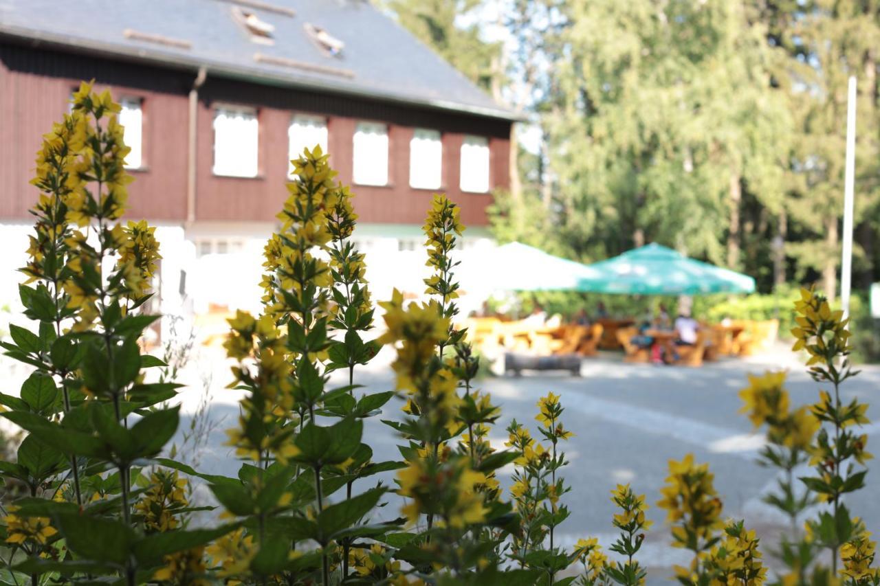 Buerger- Und Berggasthaus Hotel Scheibenberg